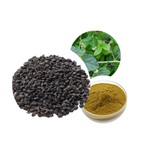 Fructus Psoraleae Extract Psoralen