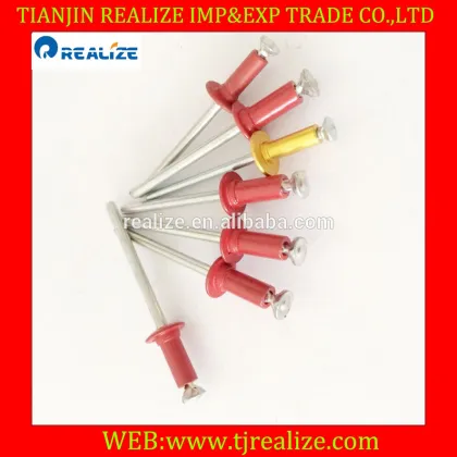 Good factory China fasteners beige color blind rivets