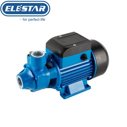 Iron cast peripheral Votex  water pump