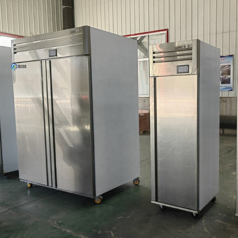 Best Price Meat Unfreezing Machine: Fish and Chicken Thawing Device