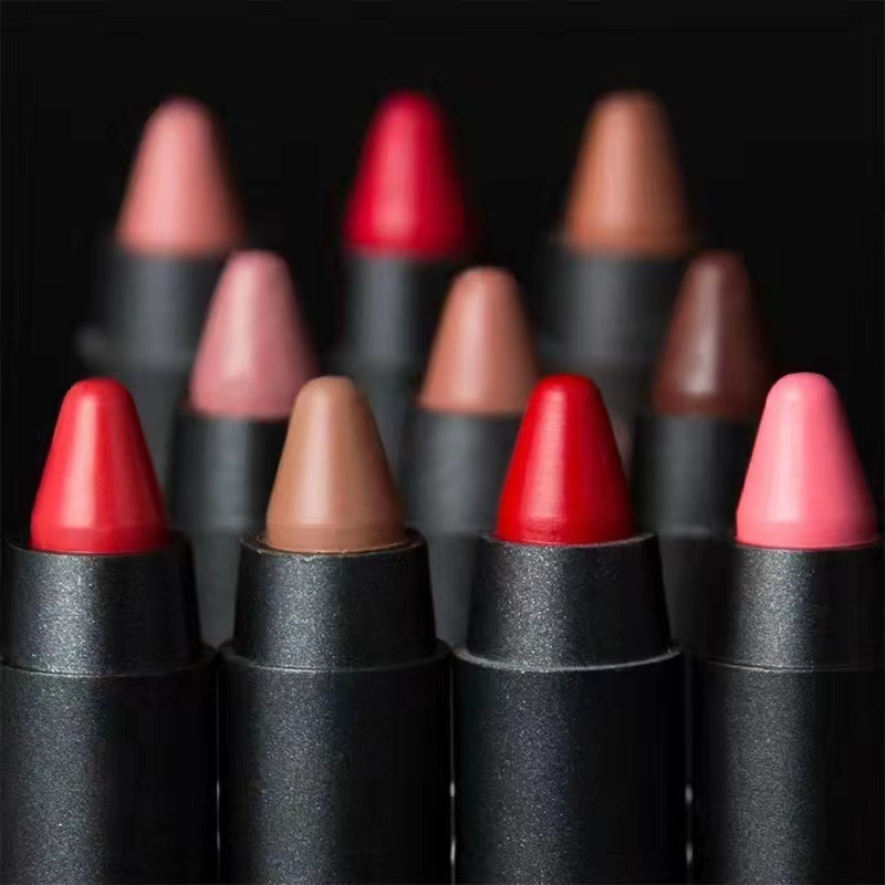 19 Color Lip Stick Kit Waterproof Matte Velvet Lip Liner Pencil Custom Private Label For Makeup Cosmetics No Logo LOW MOQ