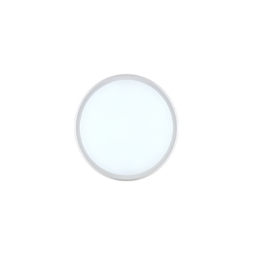 22W IP65 round LED wall lamp