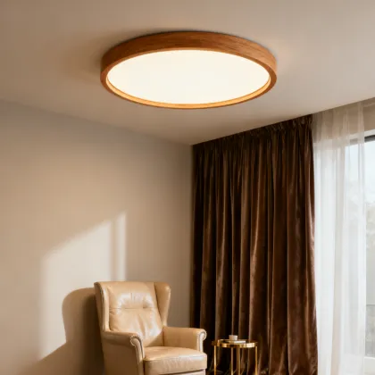 Remote Dimming Ceiling Light