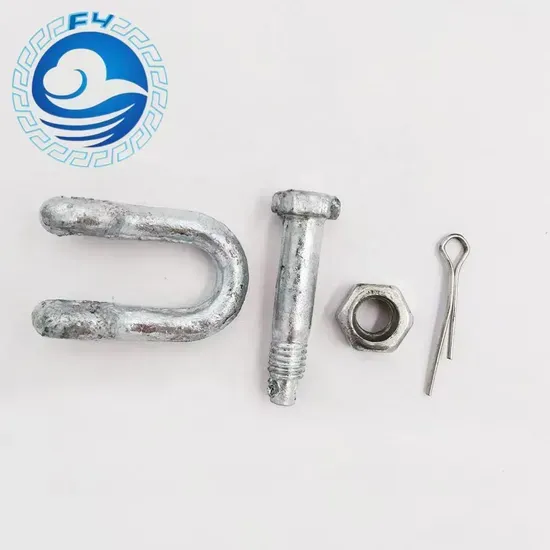 G2150 D Type Shackle: High Strength, Durable, Corrosion-Resistant