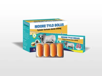 Vet medicine anti inflammatory tablets for animal