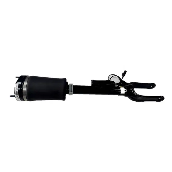 OEM A1643206013 Electrical Shock Absorber for Mercedes-Benz ML350 ML500 W164