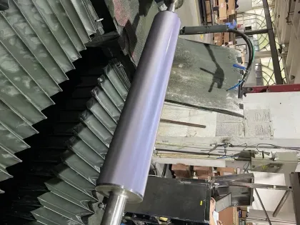 heidelberg ceramic mesh roller