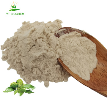 No additives organic Noni fruit juice powder