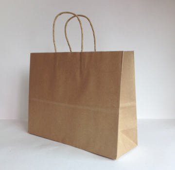 Brown Paper Gift Bags