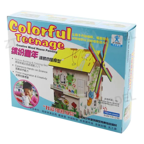 Colorful Teenage Creative Wood House Painting