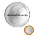 Buy online active ingredients Adenosine powder