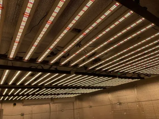 The best chips led grow light for planting