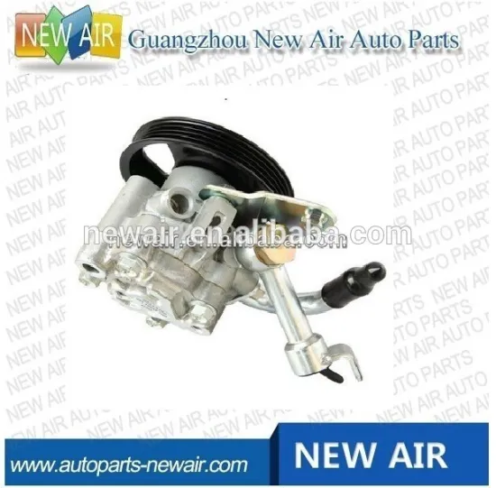 49110-9W100 Power Steering Pump For Tanea 2.3