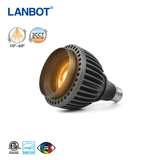 New 25W E26/E27 LED Spot Light COB Par30 with 3CCT in Spotlight