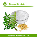 Boswelia SERRATA-Extrakt boswellsäure 65% HPLC