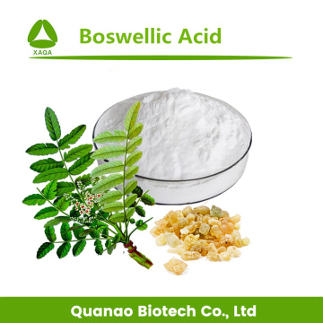 Boswelia Serrata Extract Boswellic Acid 65% HPLC