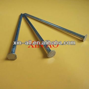 common iron nail/common nails/steel nails/polishing common nail