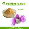 Milk Thistle Extract Powder Silymarin 80% Silibinin 30%