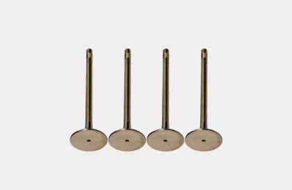 Valves 3088389 for Engine Systems