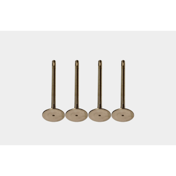 Valves 3088389 for Engine Systems