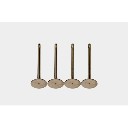 High-Flow Performance Intake Valves