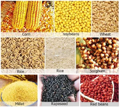 Grains Screening and Separating Machines: Efficient Solutions for Cereal and Grain Processing