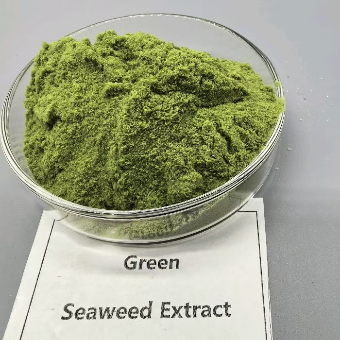 Green seaweed extract - Chlorophyta extract plant growth (3)