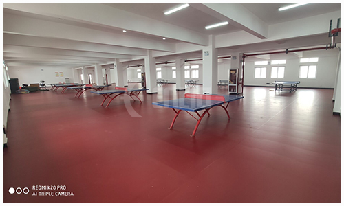 table tennis court 