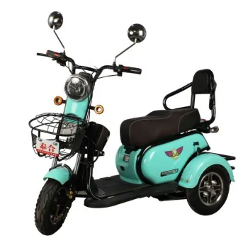 Popular Thailand Home Use Electric Tricycles and Baby Seats