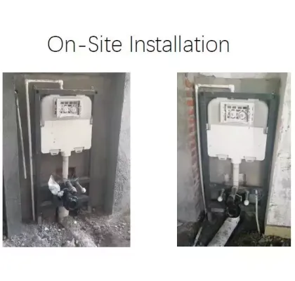 Hidden Wall-Mounted Dual-Flush Toilet Tanks and Frames