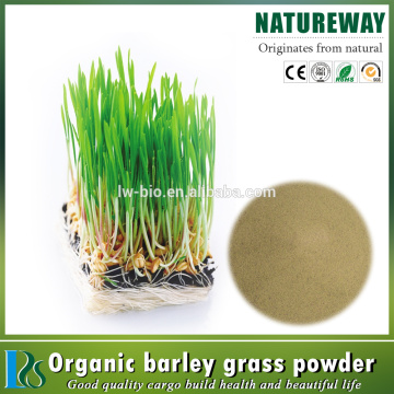 help reduce inflammation and pain Barley grass juice powder