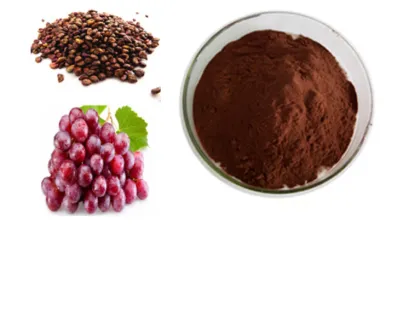 Fruit Extract Organic OPC Grape Seed Extract Powder