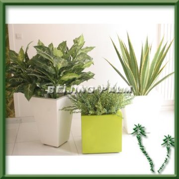 factory price artificial plant,potted plant,indoor or outdoor plants