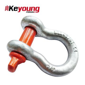 Wholesale Galvanized Anchor Shackle G209 Stainless Steel D-Shackle