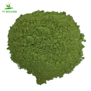 High quality superfood organic buckwheat grass juice powder