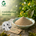 Coniothyrium Minitans Spore Powder فطريات التحكم البيولوجي