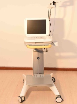 Portable endoscope workstation computer trolley