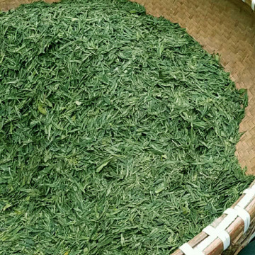 Chá verde onde comprar