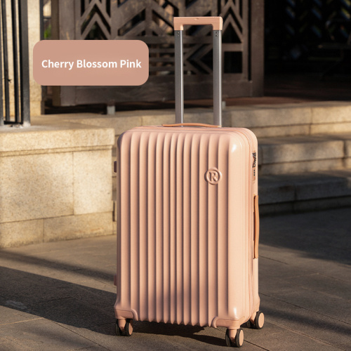 İş ve Eğlence Amaçlı Yüksek Kaliteli Bagaj