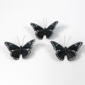 Loja de artesanato de borboletas 3D