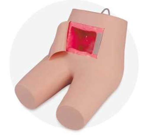 Enema and Defecation Assisting Model