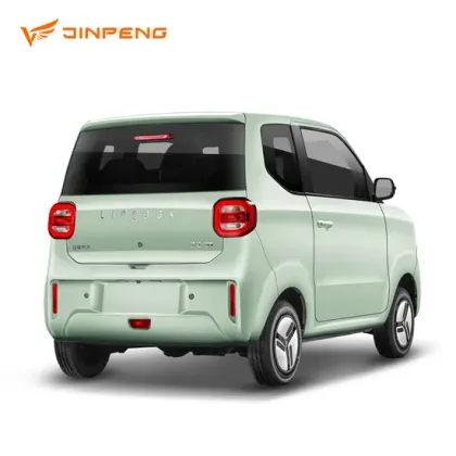 Pure Electric Mini Car for Family Outings