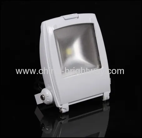 Ce Approved 50w Led Floodlight 