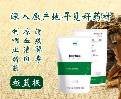 ZNSN Liver and gall protection granules