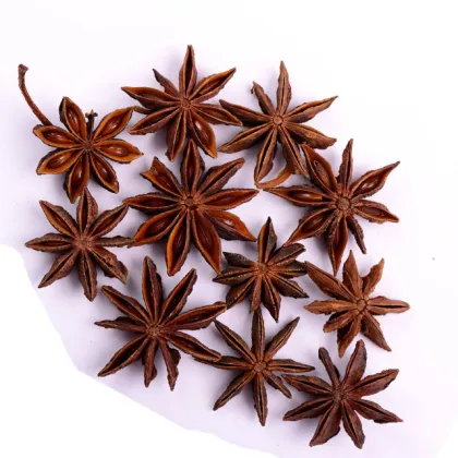 40g High Quality Spicy Flavour Chinese Original Seasoning Star Anise