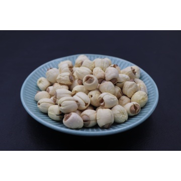 Hạt sen trắng phơi nắng