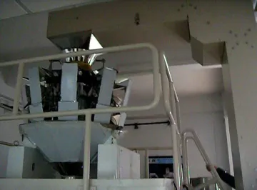 Z type goods elevator for 10 heads weigher