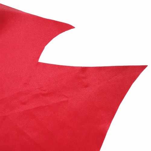 Stock Factory Cheap Price Pirate Flag