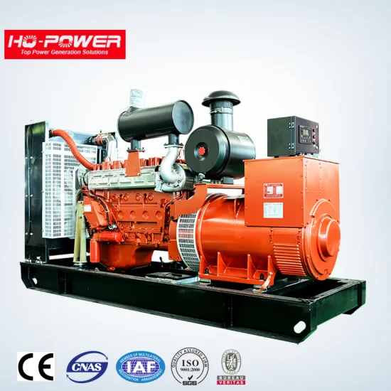 Weifang manufacturer 300kva diesel engine generator