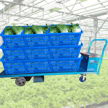Electric Load Cart for Tomato Picking - 500Kg Capacity Greenhouse Trailer